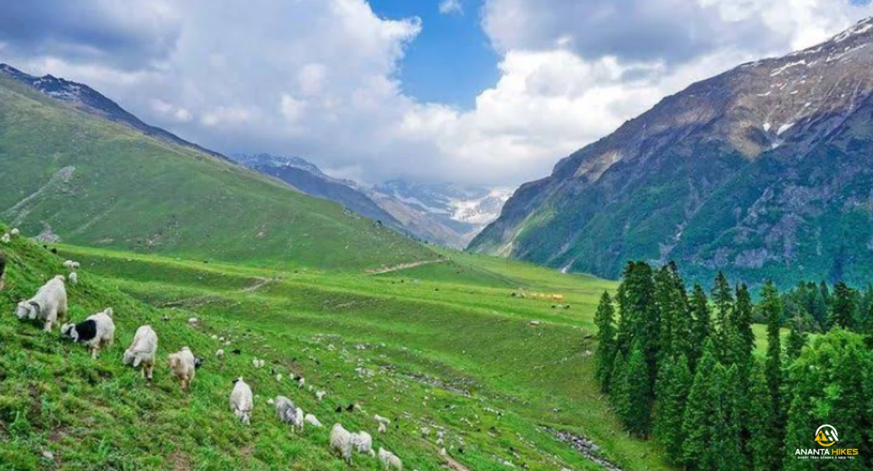 Ananta-Hikes-buran-Ghati-trek4