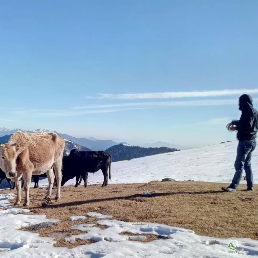 Chanshal-Pass=Ananta-hikes-3