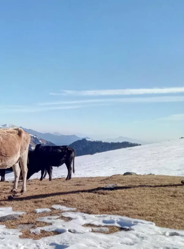 Chanshal-Pass=Ananta-hikes-3