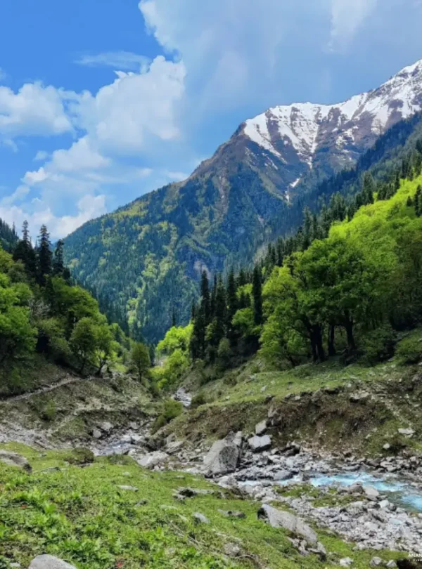 Rupin-Pass-Trek-ananta-hikes-2