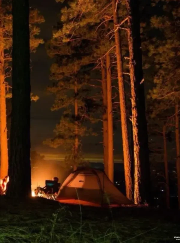 Ananta-hikes-night-trek
