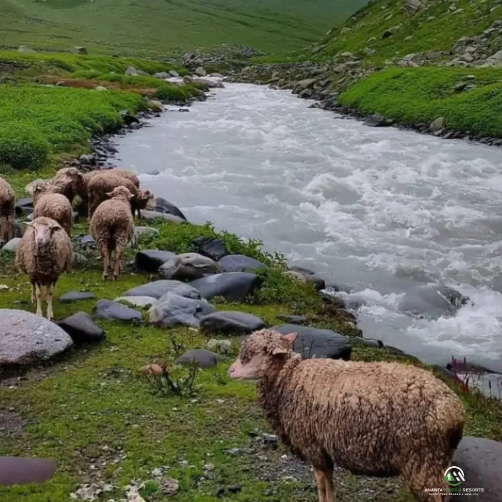 Muling-baba-valley-1