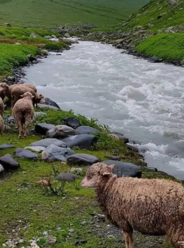 Muling-baba-valley-1